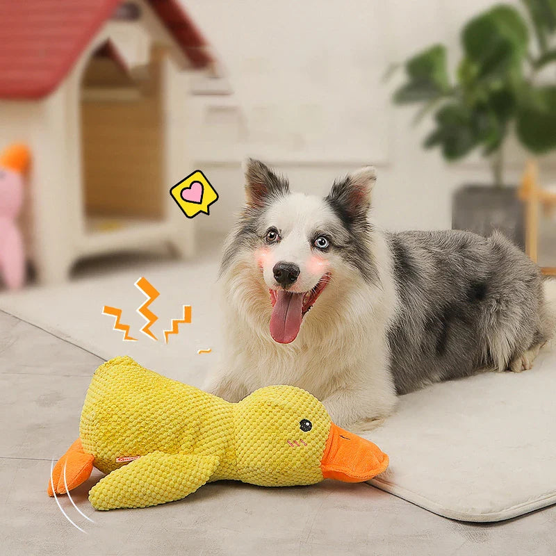 Loravian® Quack-Quack Duck Dog Toy