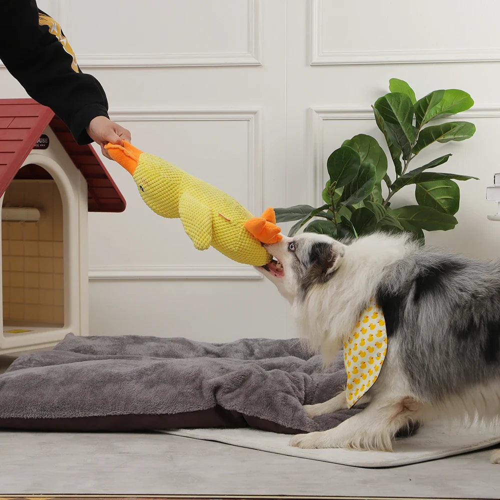 Loravian® Quack-Quack Duck Dog Toy