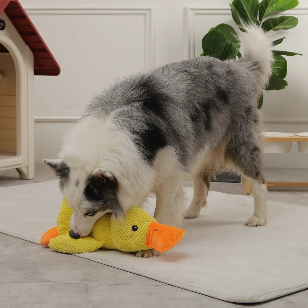 Loravian® Quack-Quack Duck Dog Toy