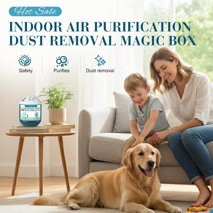 🔥 Limited-Time Pre-Sale⏰Loravian® Indoor Air Purification Dust Removal Magic Box🏠🌿