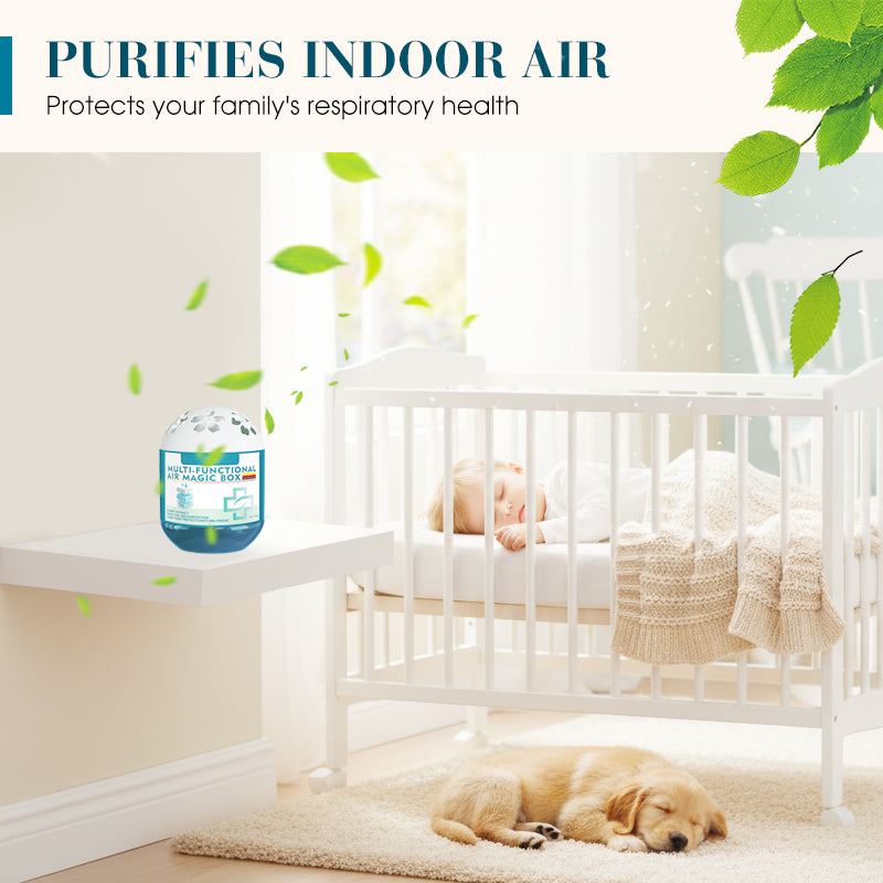 🔥 Limited-Time Pre-Sale⏰Loravian® Indoor Air Purification Dust Removal Magic Box🏠🌿