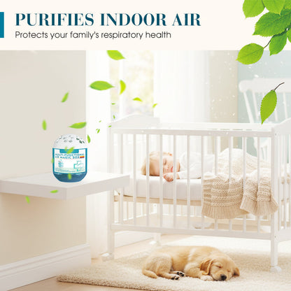 🔥 Limited-Time Pre-Sale⏰Loravian® Indoor Air Purification Dust Removal Magic Box🏠🌿