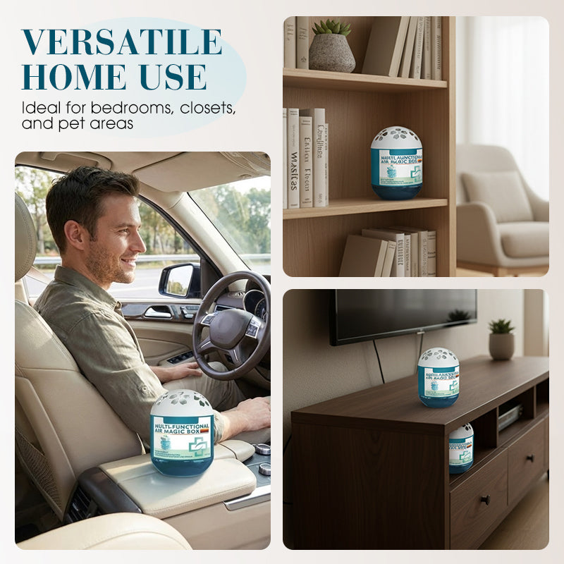 🔥 Limited-Time Pre-Sale⏰Loravian® Indoor Air Purification Dust Removal Magic Box🏠🌿
